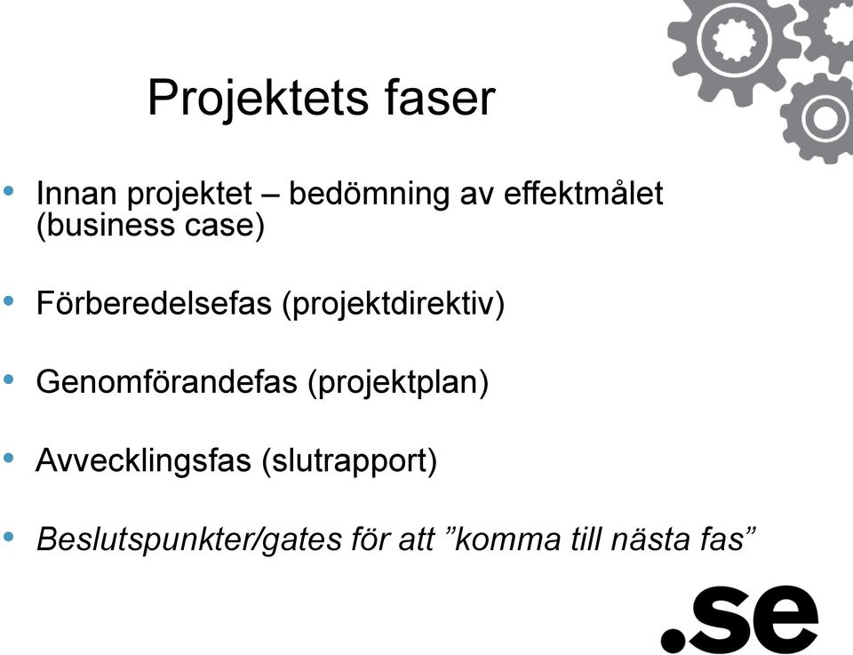 (projektdirektiv) Genomförandefas (projektplan)