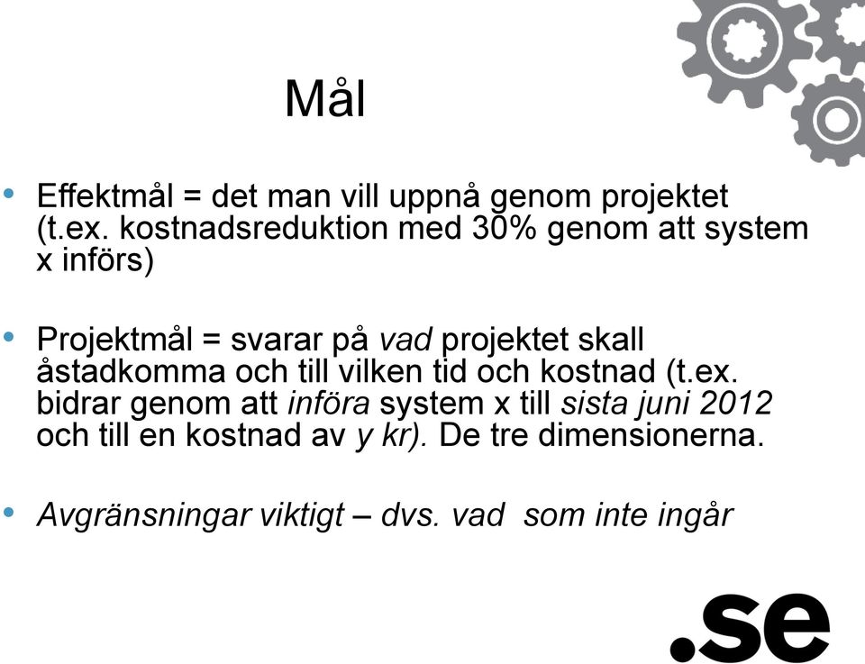 projektet skall åstadkomma och till vilken tid och kostnad (t.ex.