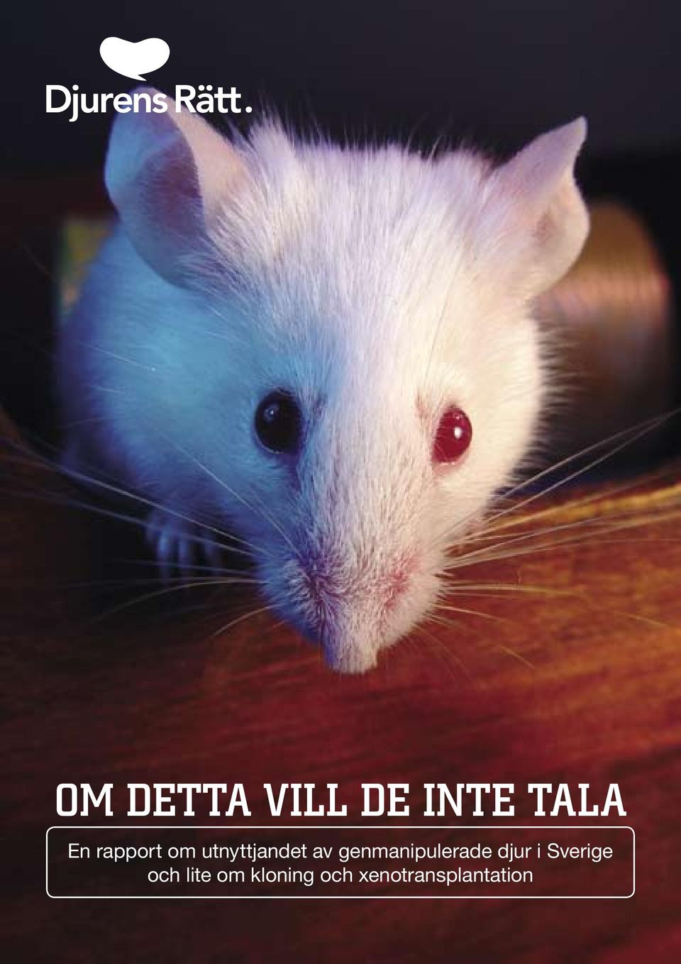 genmanipulerade djur i Sverige