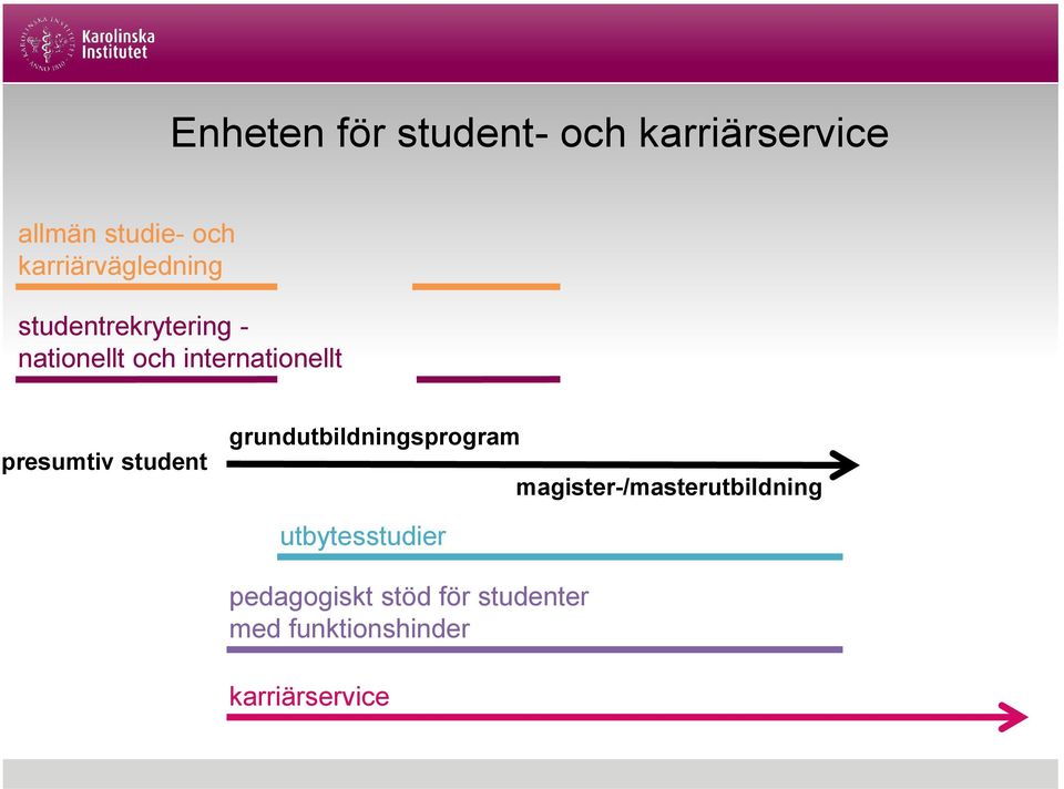 presumtiv student grundutbildningsprogram magister-/masterutbildning