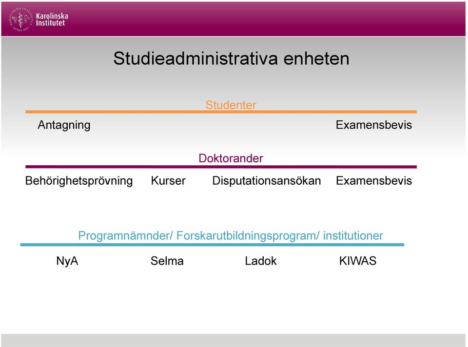 Disputationsansökan Examensbevis Programnämnder/