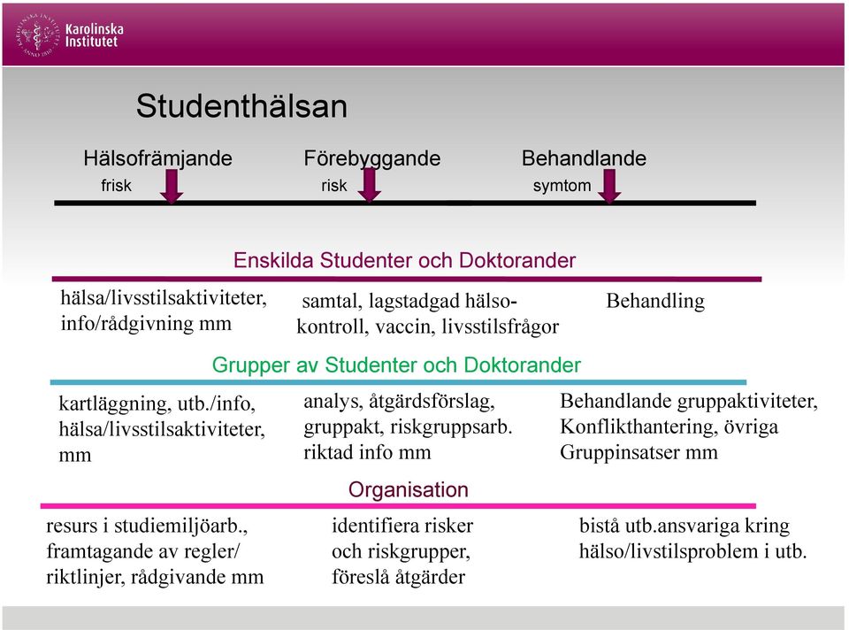 /info, hälsa/livsstilsaktiviteter, mm resurs i studiemiljöarb., framtagande av regler/ riktlinjer, rådgivande mm analys, åtgärdsförslag, gruppakt, riskgruppsarb.