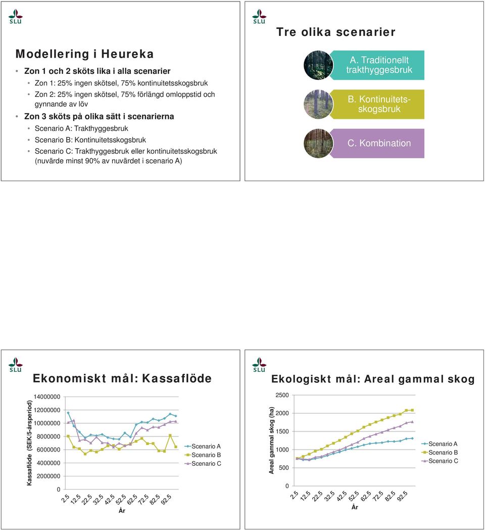kontinuitetsskogsbruk (nuvärde minst 9% av nuvärdet i scenario A) A. Traditionellt trakthyggesbruk B. Kontinuitetsskogsbruk C.