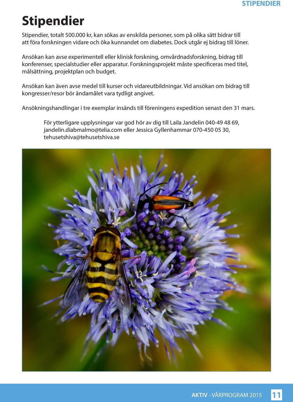 Forskningsprojekt måste specificeras med titel, målsättning, projektplan och budget. Ansökan kan även avse medel till kurser och vidareutbildningar.