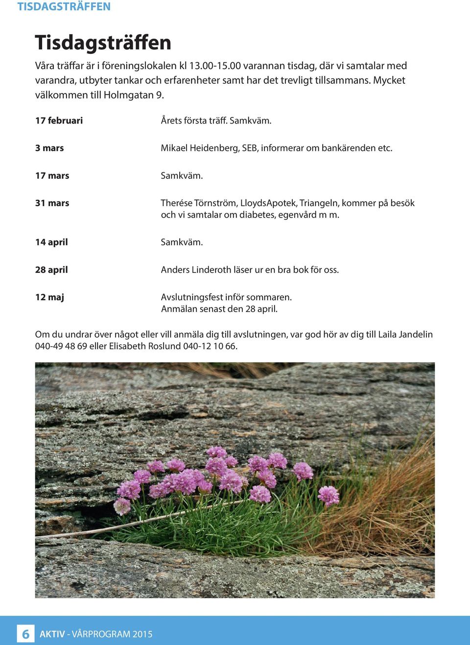 31 mars Therése Törnström, LloydsApotek, Triangeln, kommer på besök och vi samtalar om diabetes, egenvård m m. 14 april Samkväm. 28 april Anders Linderoth läser ur en bra bok för oss.