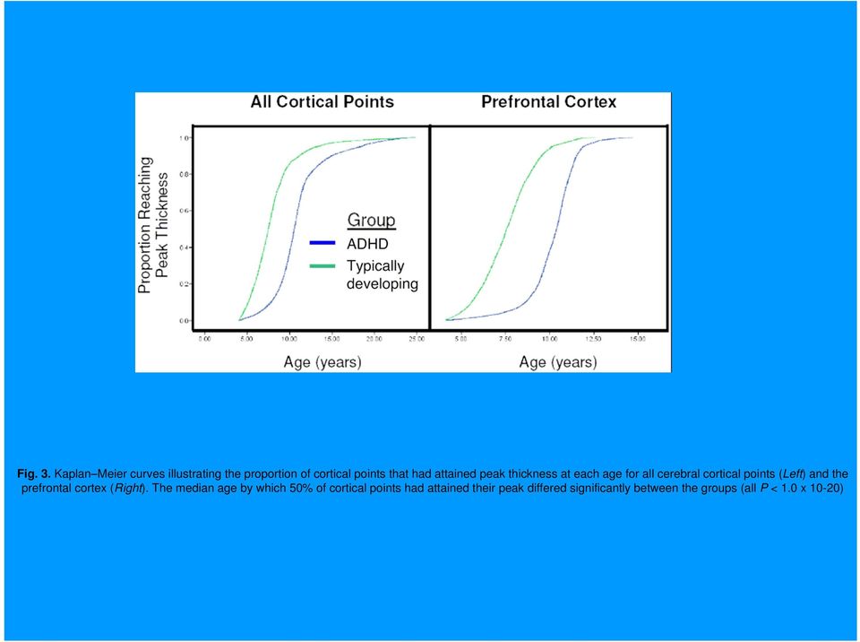 attained peak thickness at each age for all cerebral cortical points (Left) and