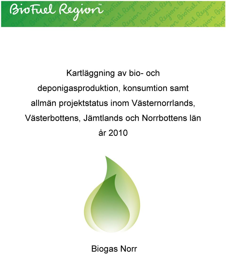allmän projektstatus inom