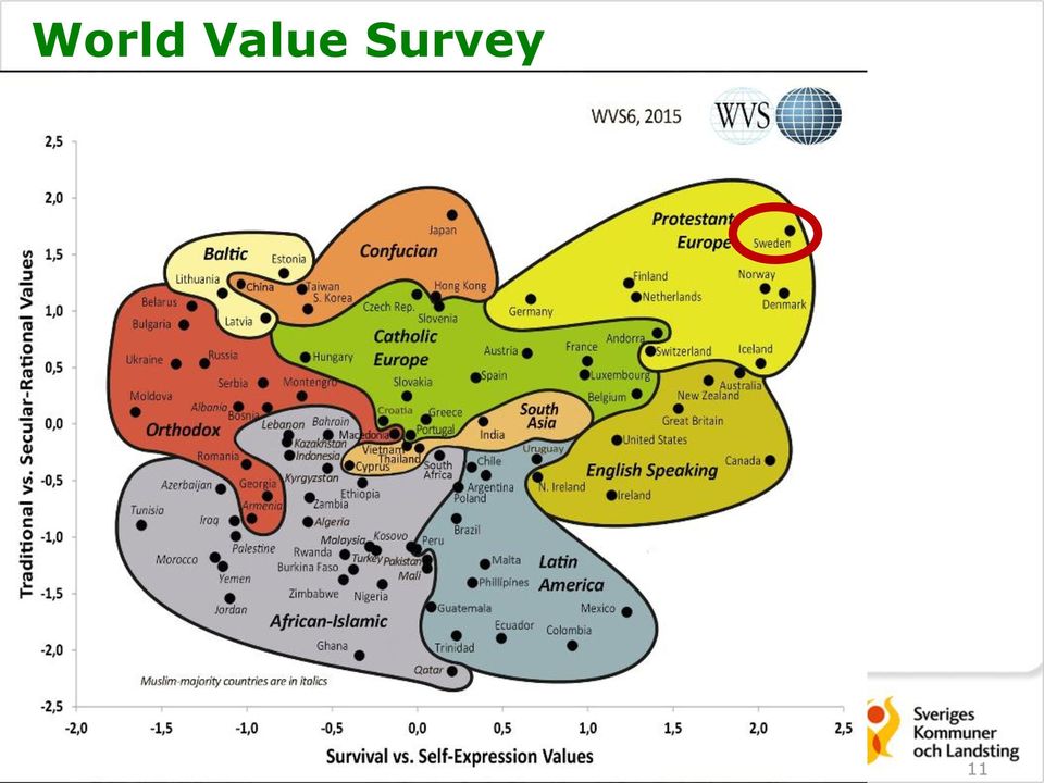 Survey 11