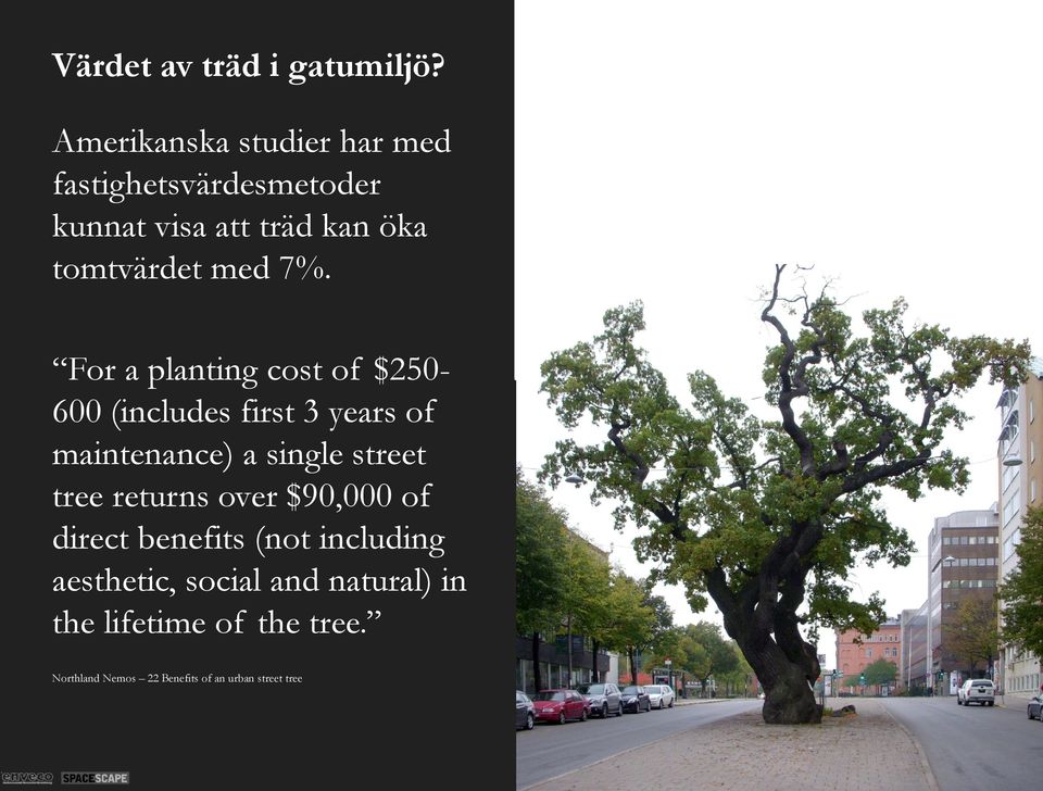 7%. For a planting cost of $250-600 (includes first 3 years of maintenance) a single street tree