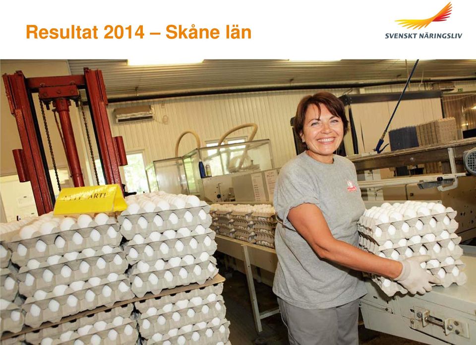 Skåne län