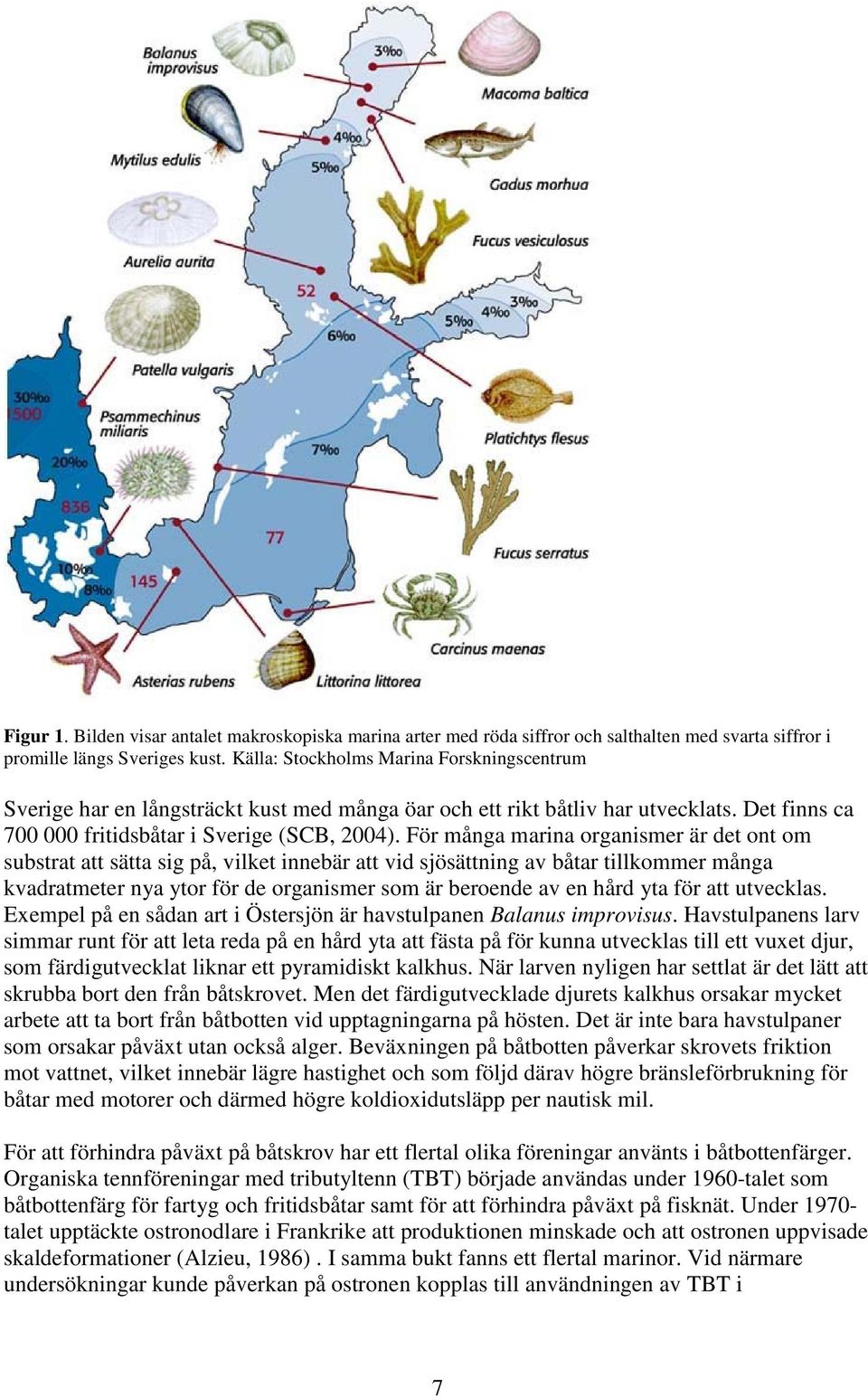 För många marina organismer är det ont om substrat att sätta sig på, vilket innebär att vid sjösättning av båtar tillkommer många kvadratmeter nya ytor för de organismer som är beroende av en hård