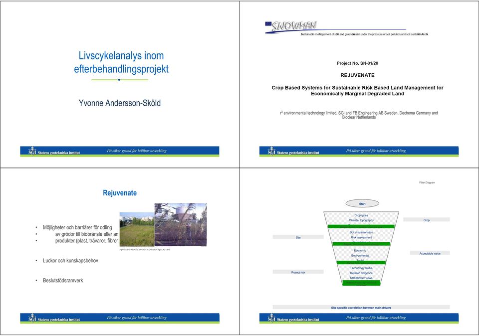 Option for suitable crops and uses Soil characteristics Risk assessment Project impact Output: Site management strategy Crop Luckor och kunskapsbehov Economic Environmental Social Output: Best
