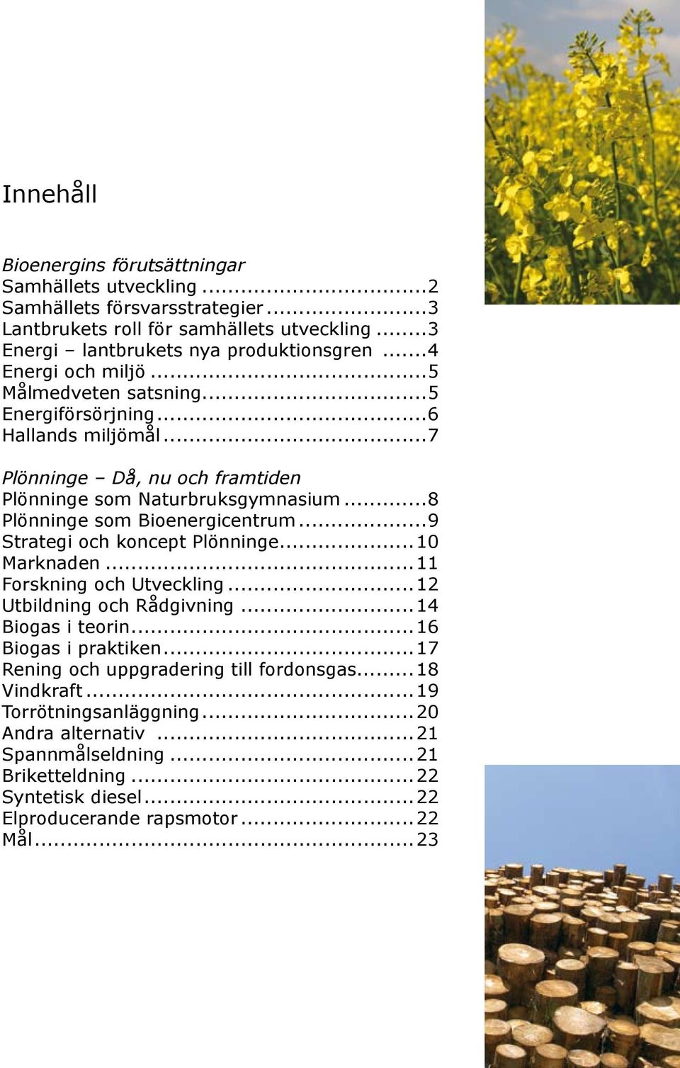 ..8 Plönninge som Bioenergicentrum...9 Strategi och koncept Plönninge...10 Marknaden...11 Forskning och Utveckling...12 Utbildning och Rådgivning...14 Biogas i teorin.