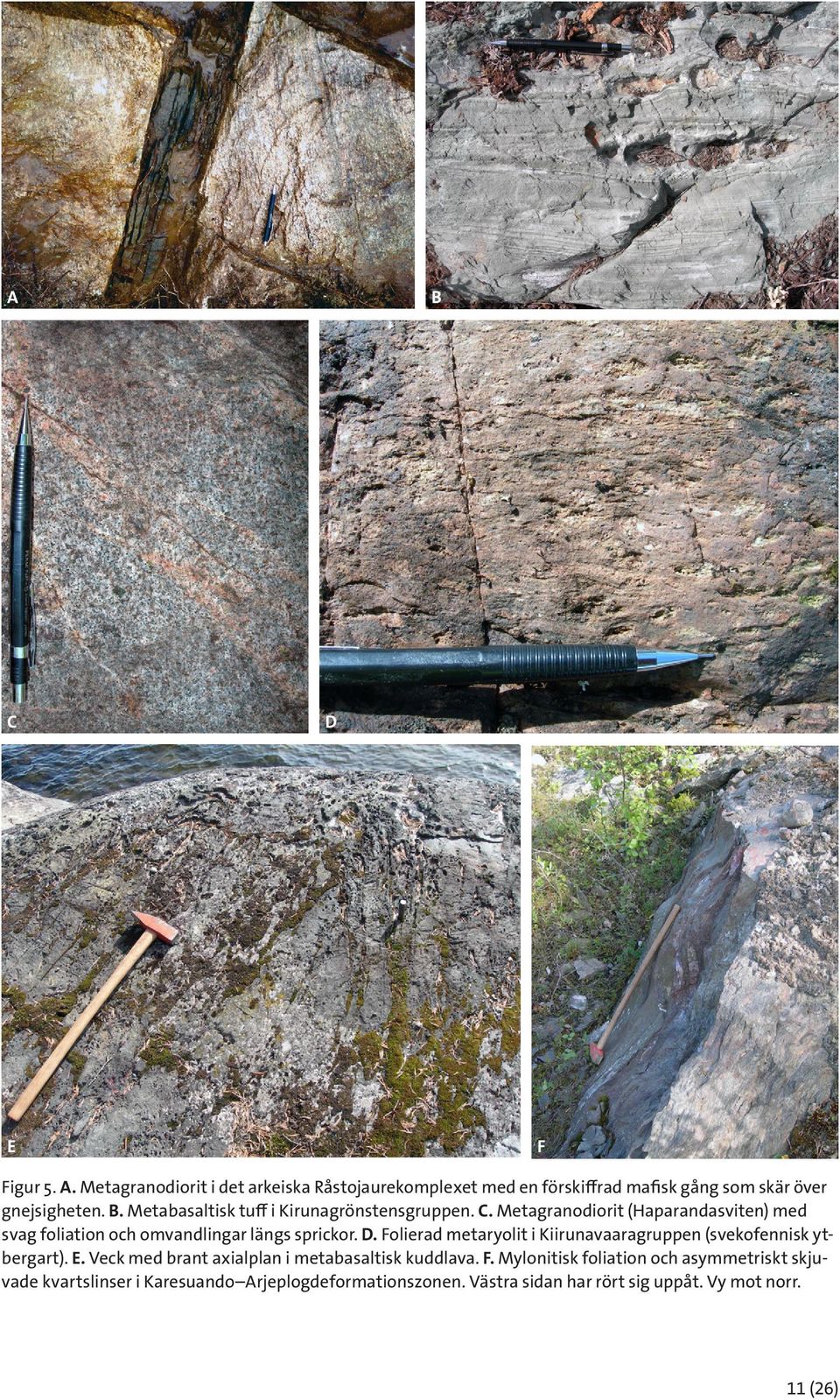 Folierad metaryolit i Kiirunavaaragruppen (svekofennisk ytbergart). E. Veck med brant axialplan i metabasaltisk kuddlava. F.