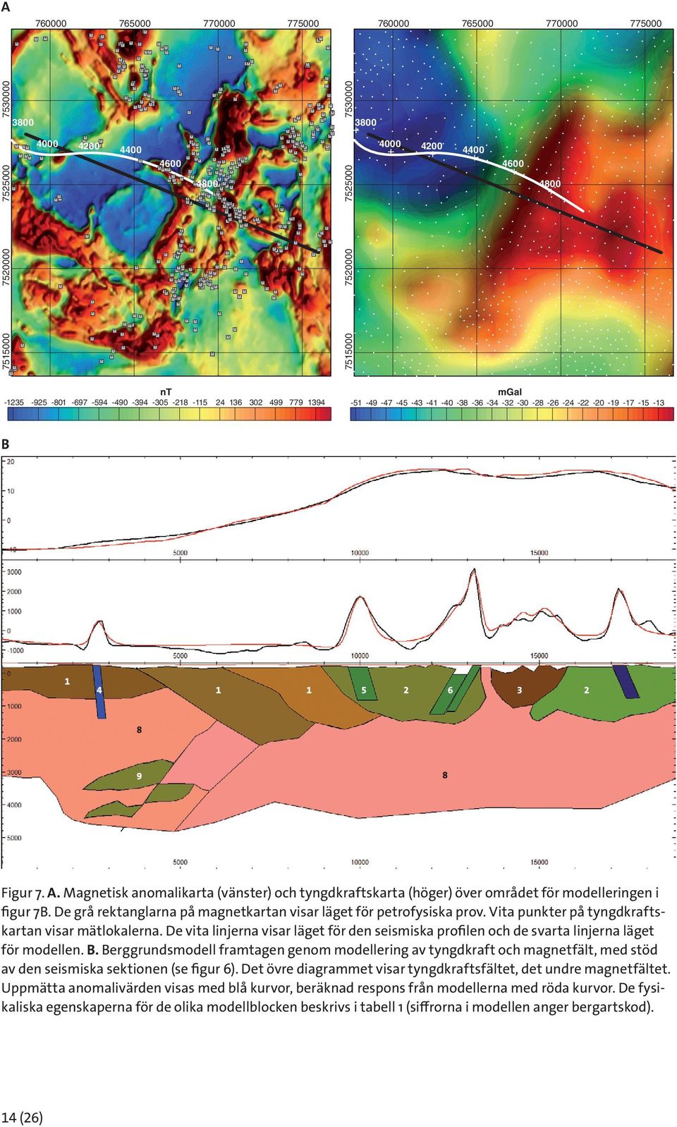 Magnetisk anomalikarta (vänster) och tyngdkraftskarta (höger) över området för modelleringen i figur 7B. De grå rektanglarna på magnetkartan visar läget för petrofysiska prov.