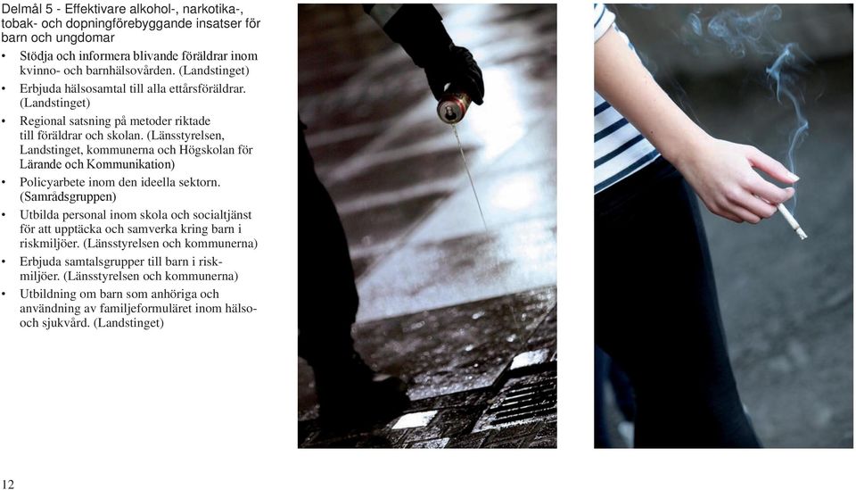 (Länsstyrelsen, Landstinget, kommunerna och Högskolan för Lärande och Kommunikation) Policyarbete inom den ideella sektorn.