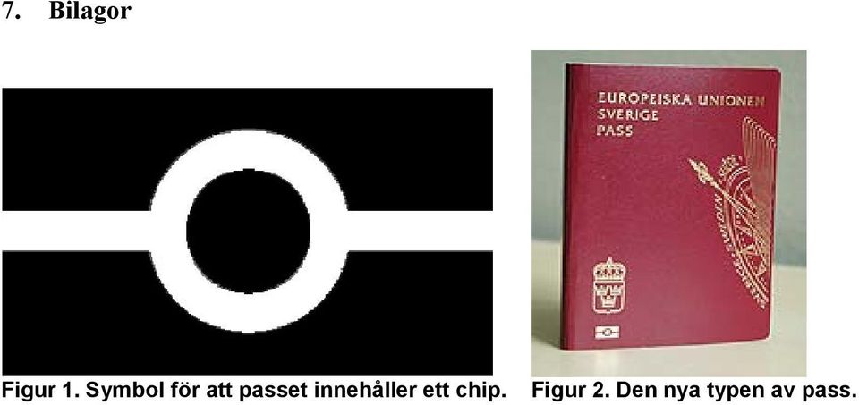 Biometri i svenska pass - PDF Gratis nedladdning