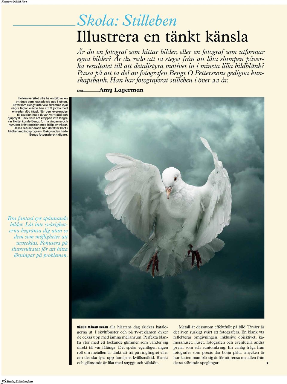 Han har fotograferat stilleben i över 22 år. text Amy Lagerman Folkuniversitet ville ha en bild av en vit duva som kastade sig upp i luften.