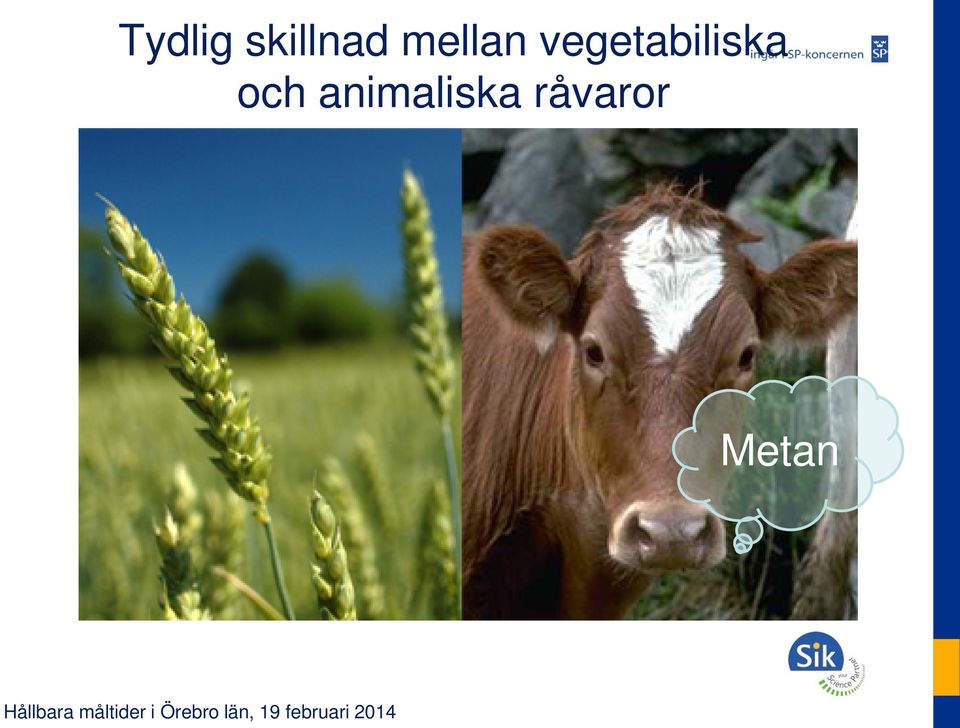 vegetabiliska