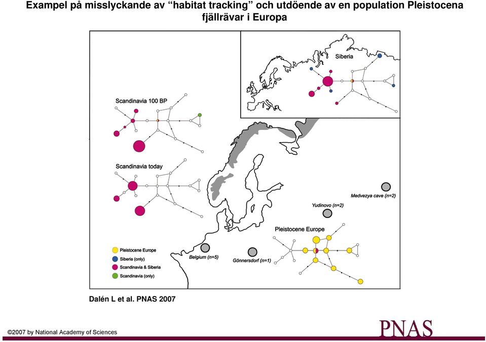 Pleistocena fjällrävar i Europa Dalén L