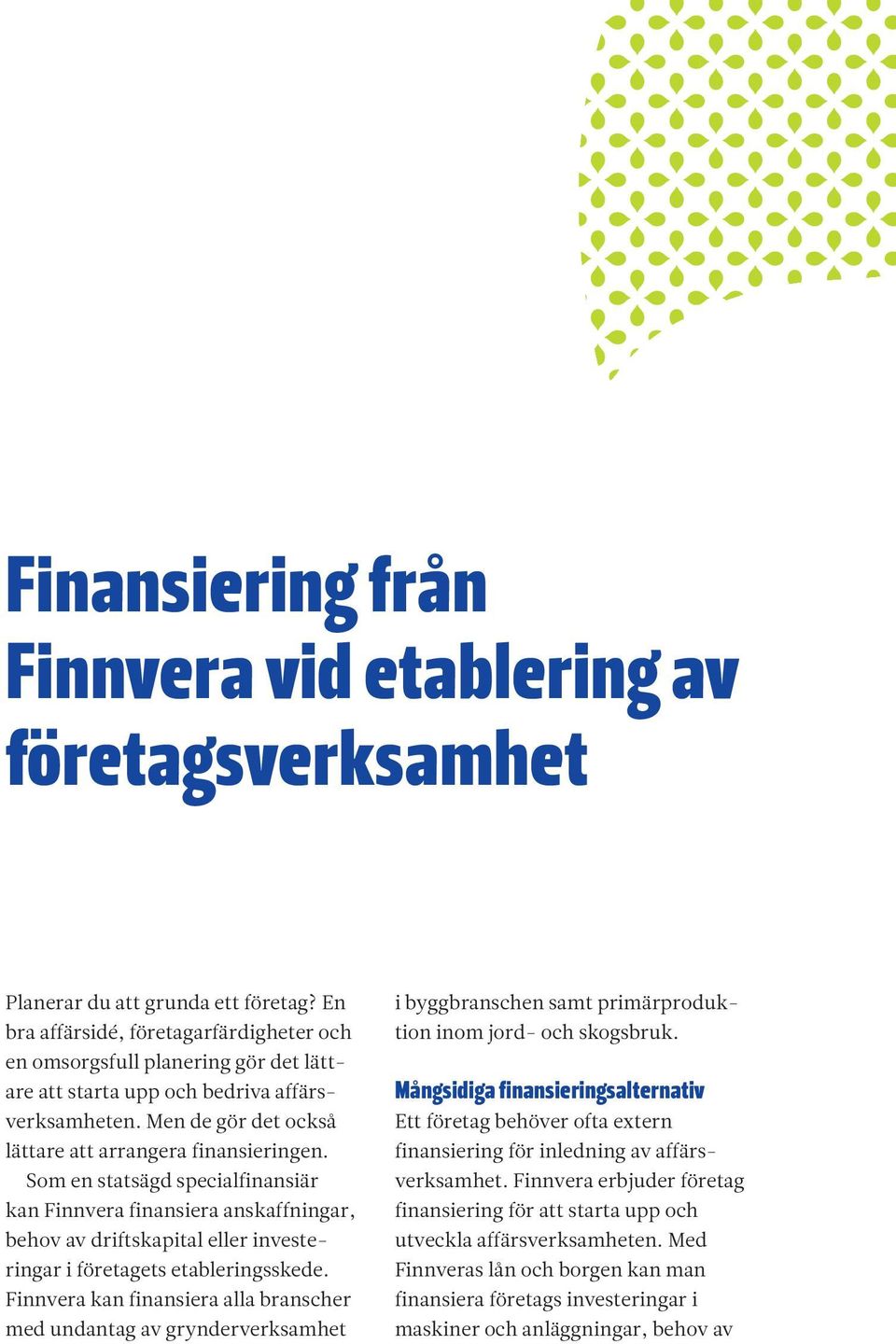 Som en statsägd specialfinansiär kan Finnvera finansiera anskaffningar, behov av driftskapital eller investeringar i företagets etableringsskede.