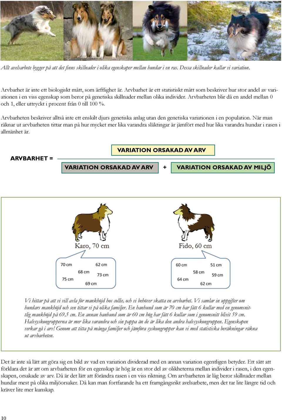 Arvbarheten blir då en andel mellan 0 och 1, eller uttryckt i procent från 0 till 100 %.