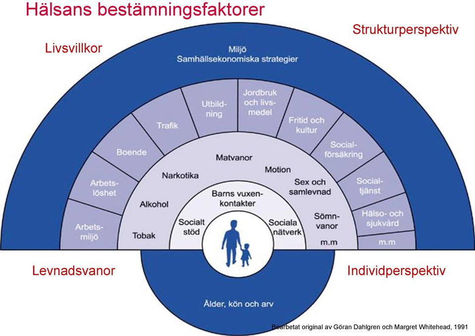 Levnadsvanor Individperspektiv