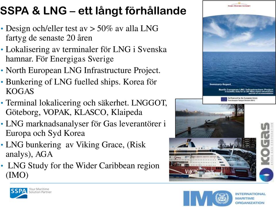 Bunkering of LNG fuelled ships. Korea för KOGAS Terminal lokalicering och säkerhet.