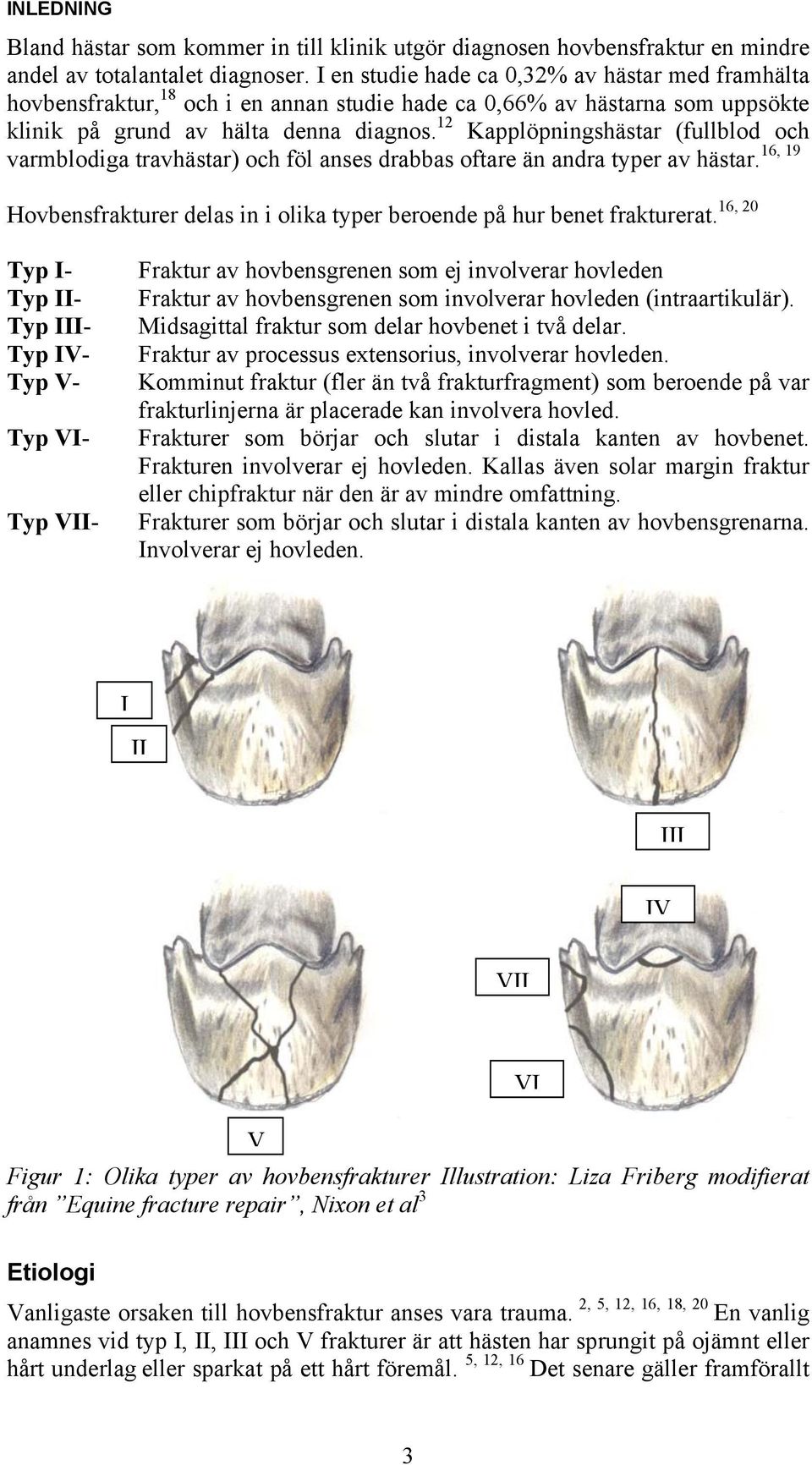 12 Kapplöpningshästar (fullblod och 16, 19 varmblodiga travhästar) och föl anses drabbas oftare än andra typer av hästar.