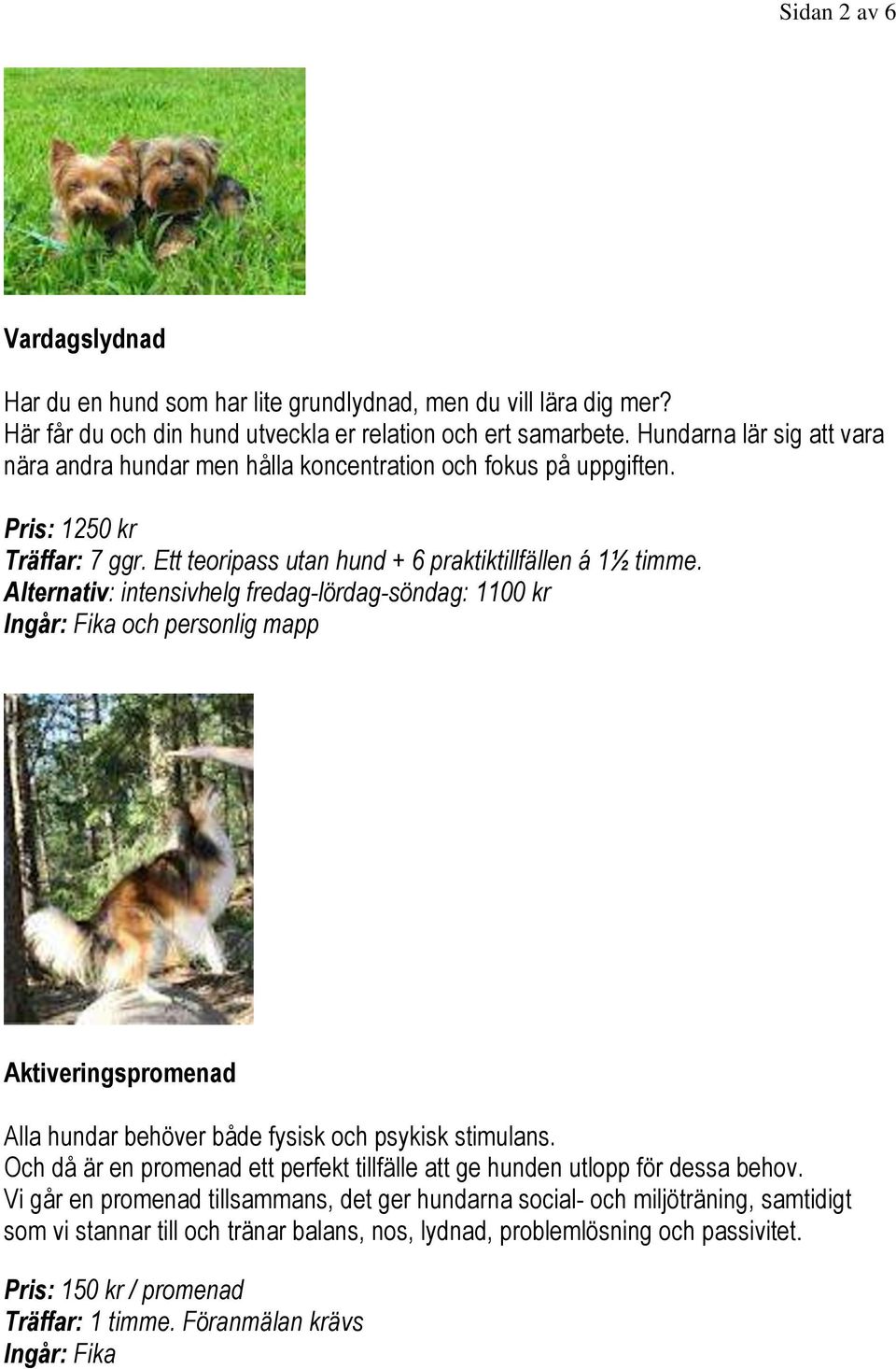 Aktiveringspromenad Alla hundar behöver både fysisk och psykisk stimulans. Och då är en promenad ett perfekt tillfälle att ge hunden utlopp för dessa behov.