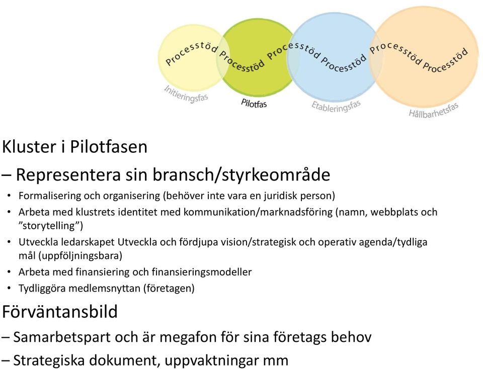 Bygga varumärket Börja påverka regionala utvecklingsagendan och att vara en regional aktör/utförare Utvärdera (ev.