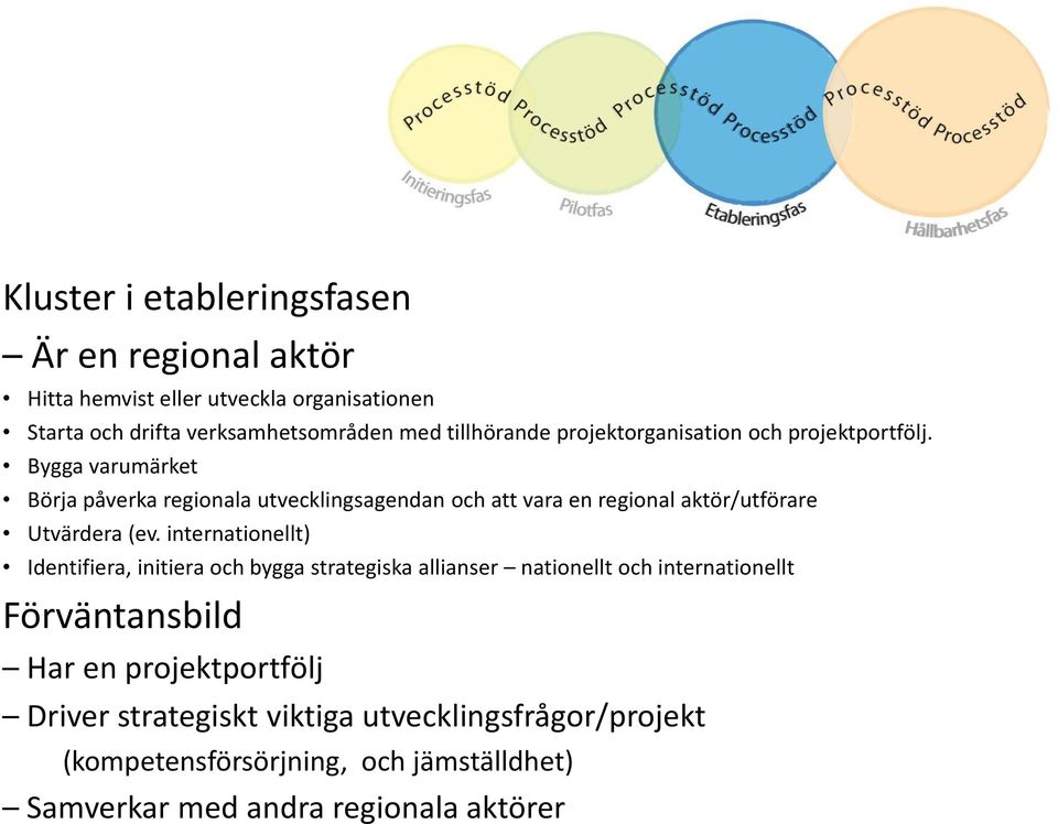 nationellt/internationellt och arbeta med kommersialisering Utvärdera verksamhetsinriktning och genomföra strategiska förändringar Dokumentera och synliggöra resultat och kommunicera framgångar