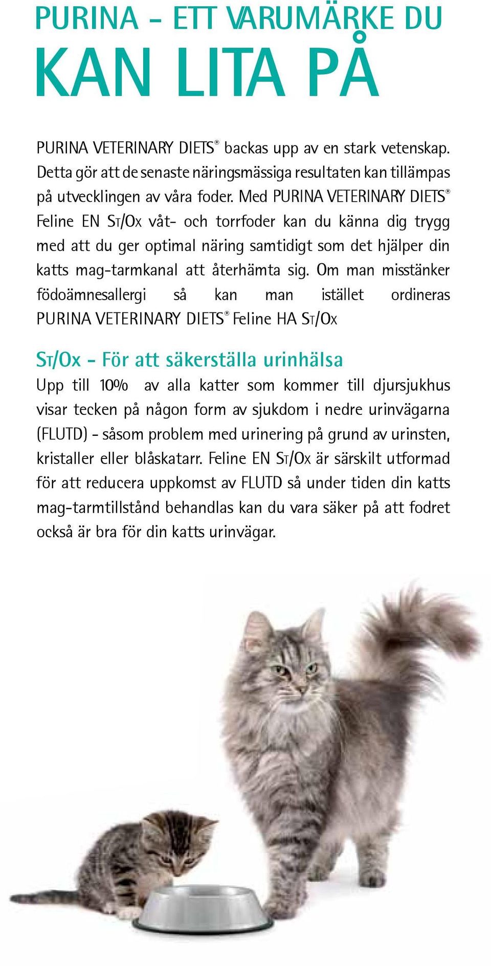 Om man misstänker födoämnesallergi så kan man istället ordineras PURINA VETERINARY DIETS Feline HA St/Ox St/Ox - För att säkerställa urinhälsa Upp till 10% av alla katter som kommer till djursjukhus