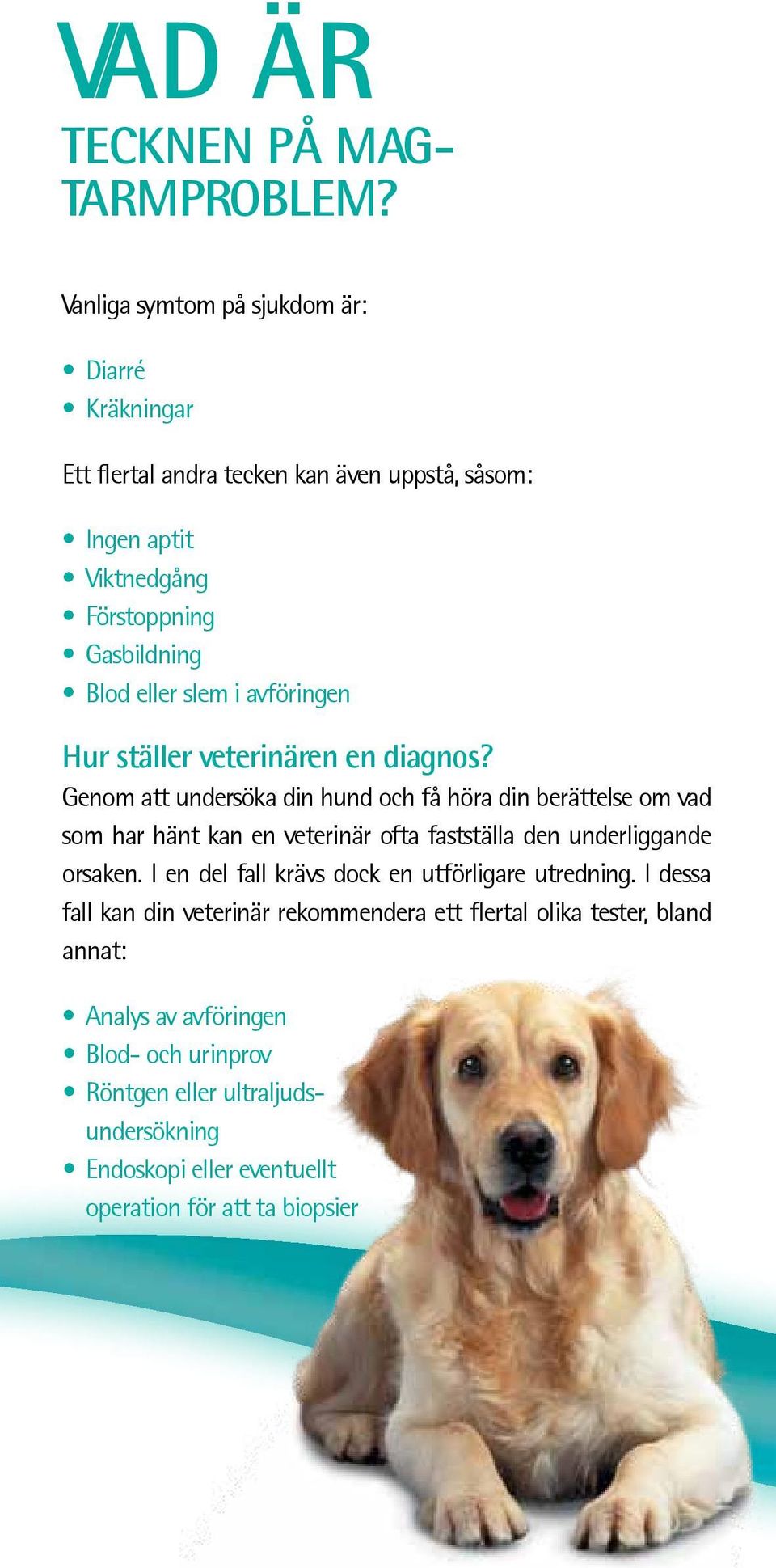 i avföringen Hur ställer veterinären en diagnos?