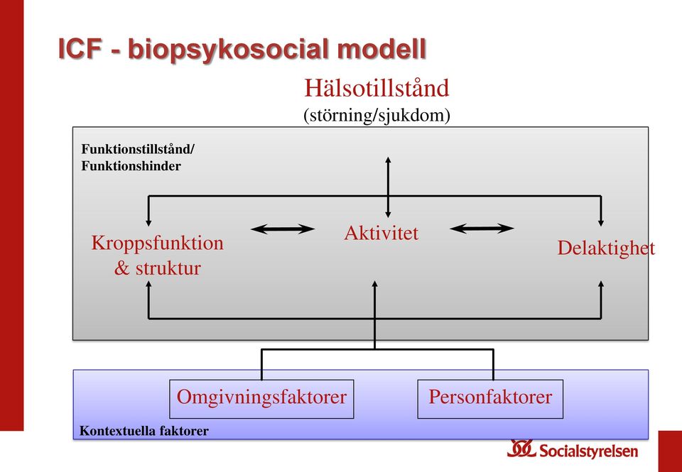 Kroppsfunktion & struktur Aktivitet Delaktighet
