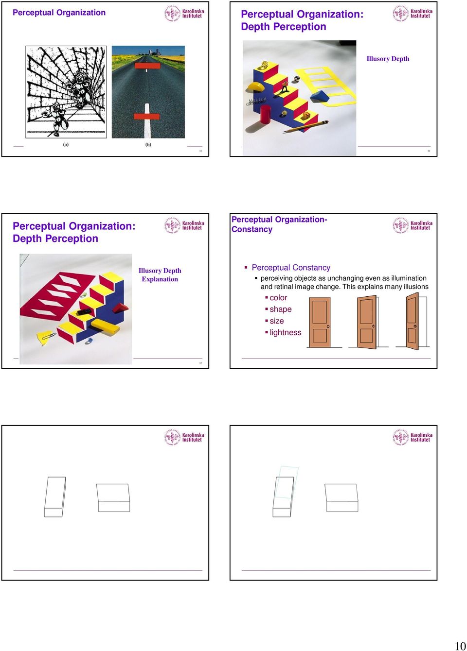 objects as unchanging even as illumination and retinal image
