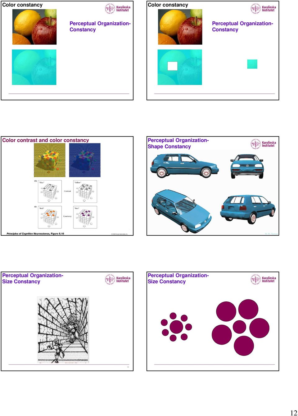 and color constancy Shape Constancy W.