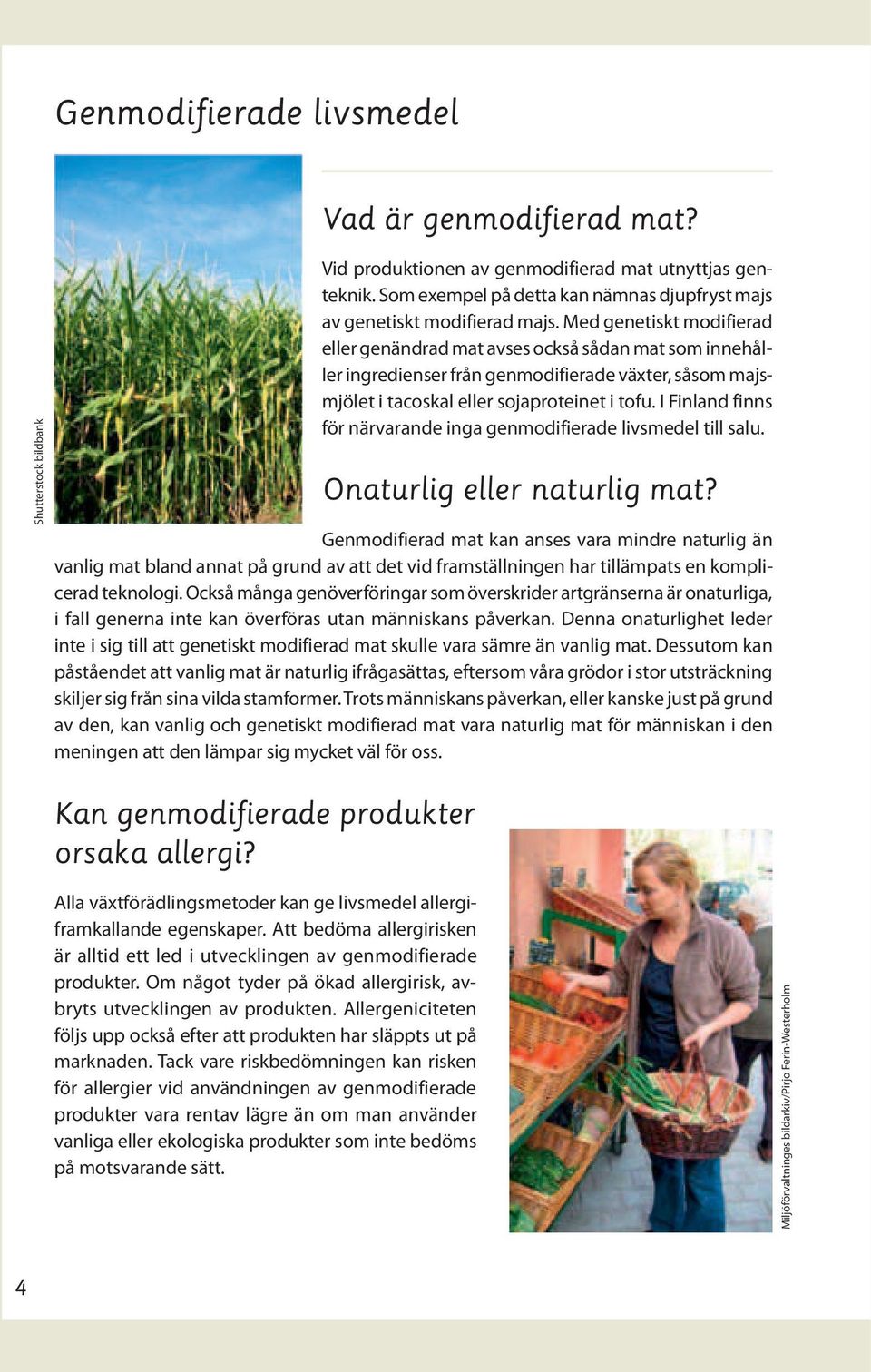Med genetiskt modifierad eller genändrad mat avses också sådan mat som innehåller ingredienser från genmodifierade växter, såsom majsmjölet i tacoskal eller sojaproteinet i tofu.