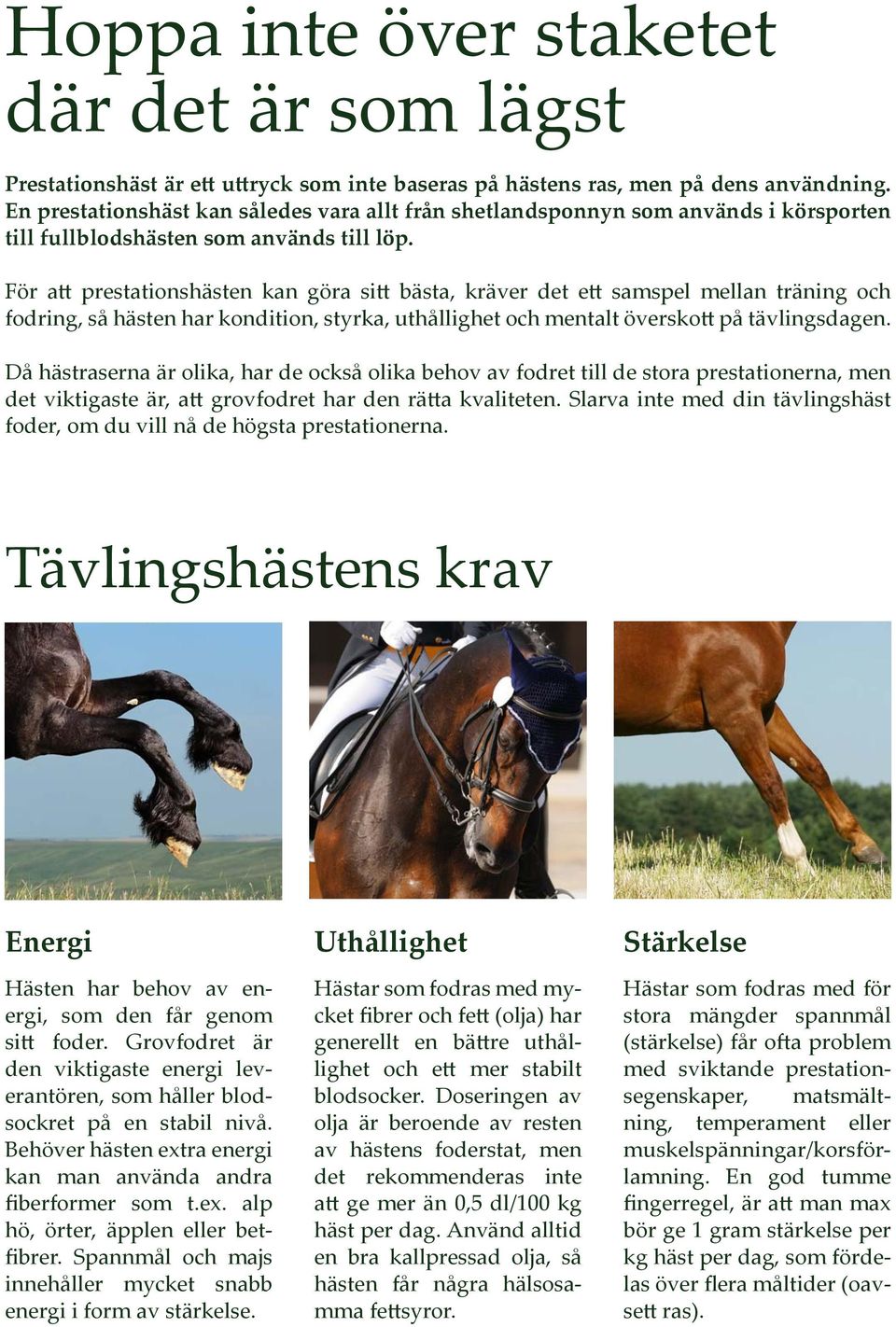 För att prestationshästen kan göra sitt bästa, kräver det ett samspel mellan träning och fodring, så hästen har kondition, styrka, uthållighet och mentalt överskott på tävlingsdagen.