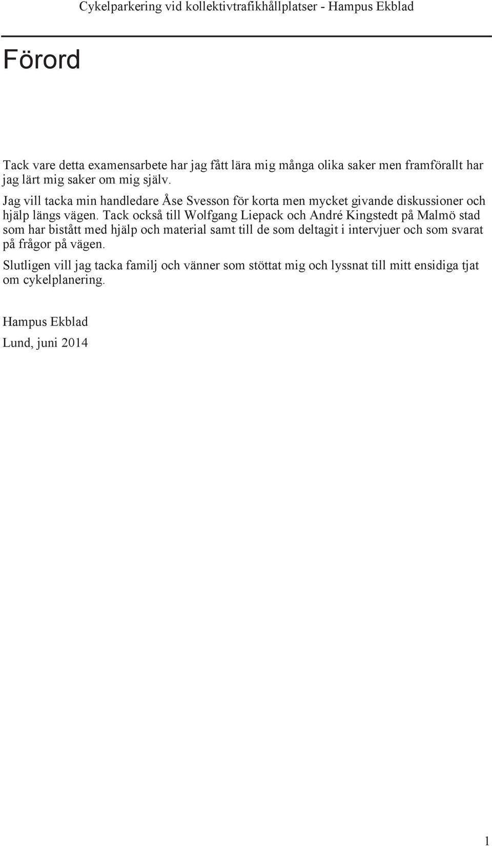Tack också till Wolfgang Liepack och André Kingstedt på Malmö stad som har bistått med hjälp och material samt till de som deltagit i