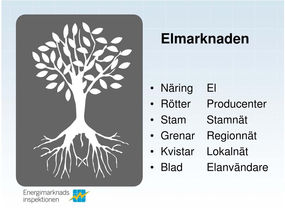 El Producenter Stamnät