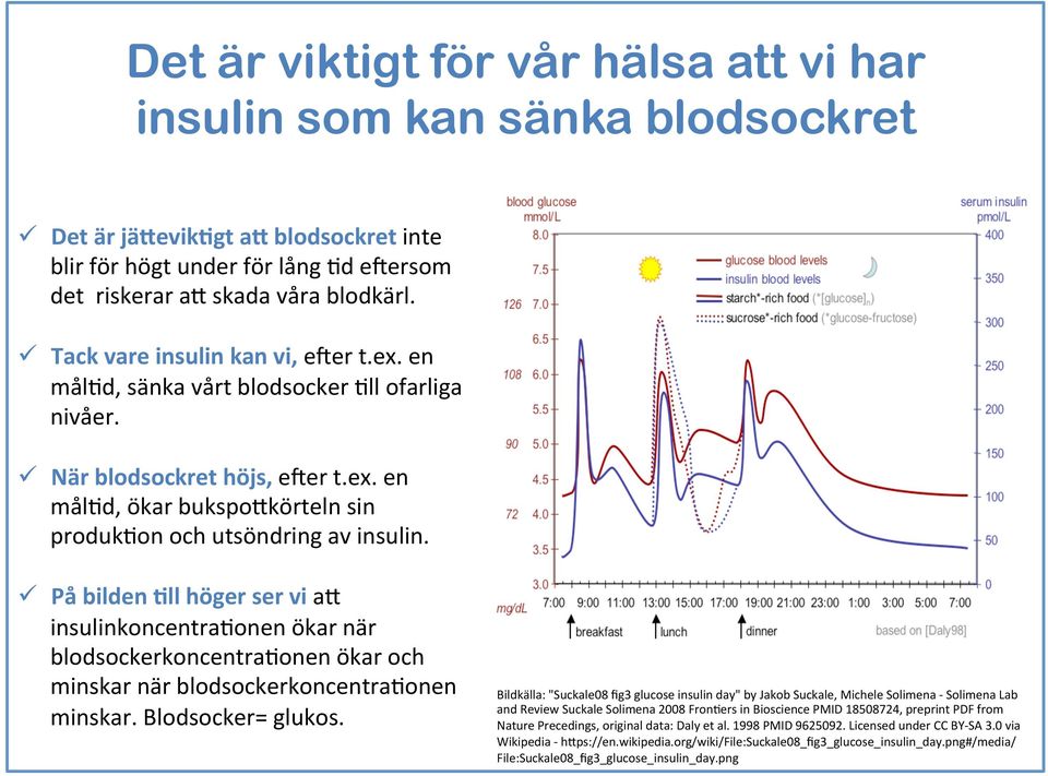 ü På bilden All höger ser vi a+ insulinkoncentrahonen ökar när blodsockerkoncentrahonen ökar och minskar när blodsockerkoncentrahonen minskar. Blodsocker= glukos.