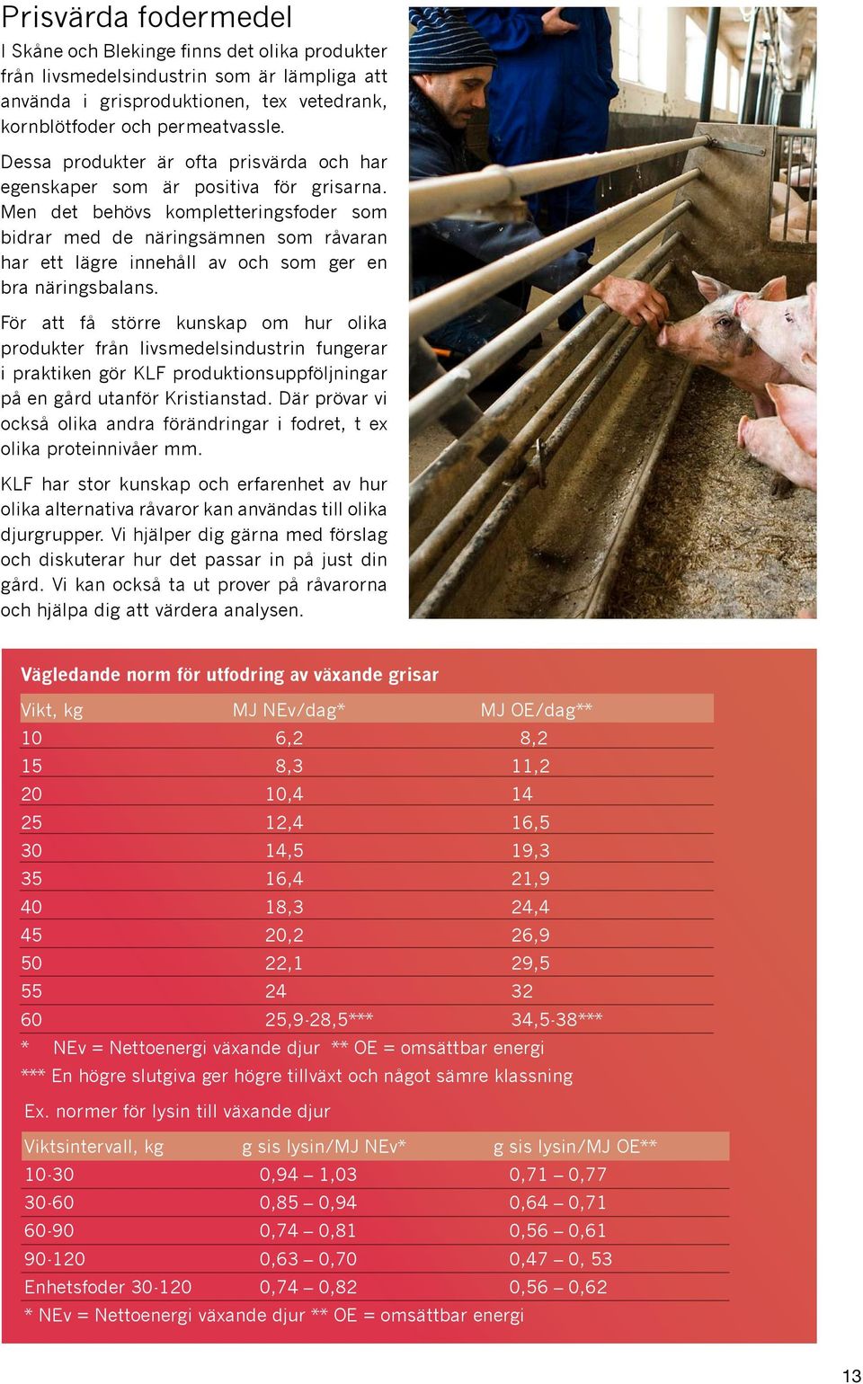 Men det behövs kompletteringsfoder som bidrar med de näringsämnen som råvaran har ett lägre innehåll av och som ger en bra näringsbalans.