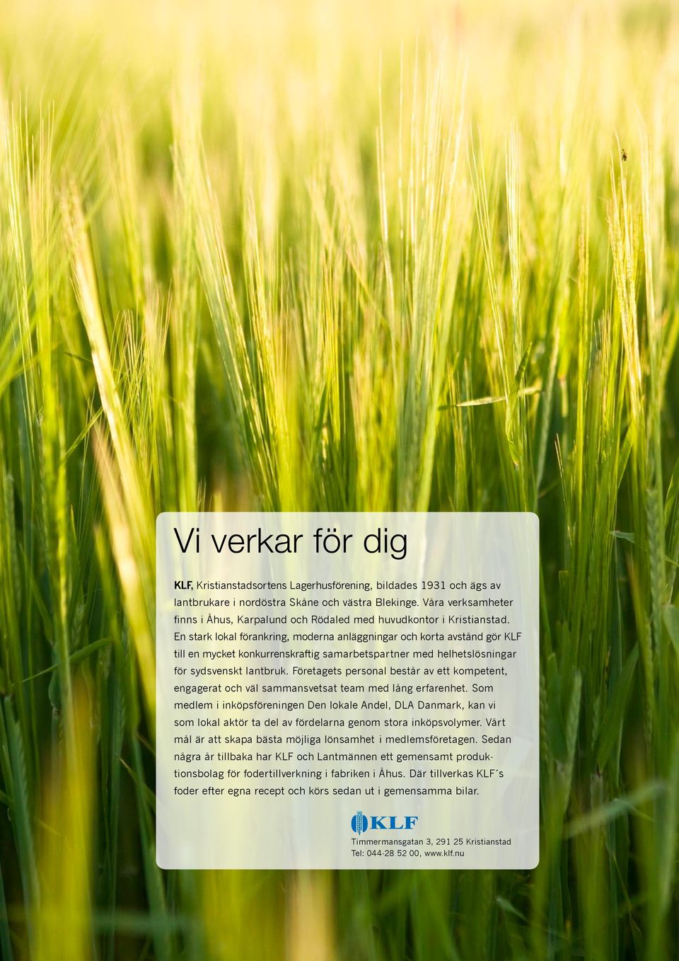 En stark lokal förankring, moderna anläggningar och korta avstånd gör KLF till en mycket konkurrenskraftig samarbetspartner med helhetslösningar för sydsvenskt lantbruk.