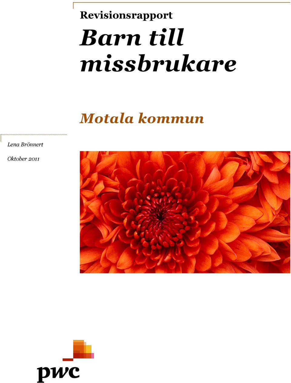missbrukare