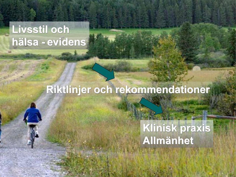 och rekommendationer