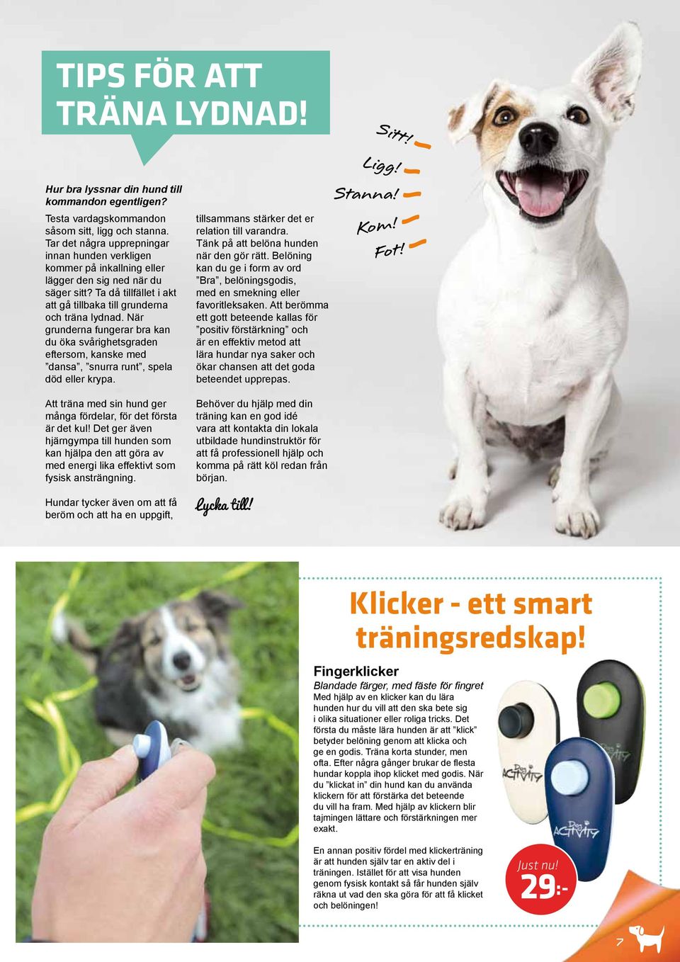 När grunderna fungerar bra kan du öka svårighetsgraden eftersom, kanske med dansa, snurra runt, spela död eller krypa. tillsammans stärker det er relation till varandra.