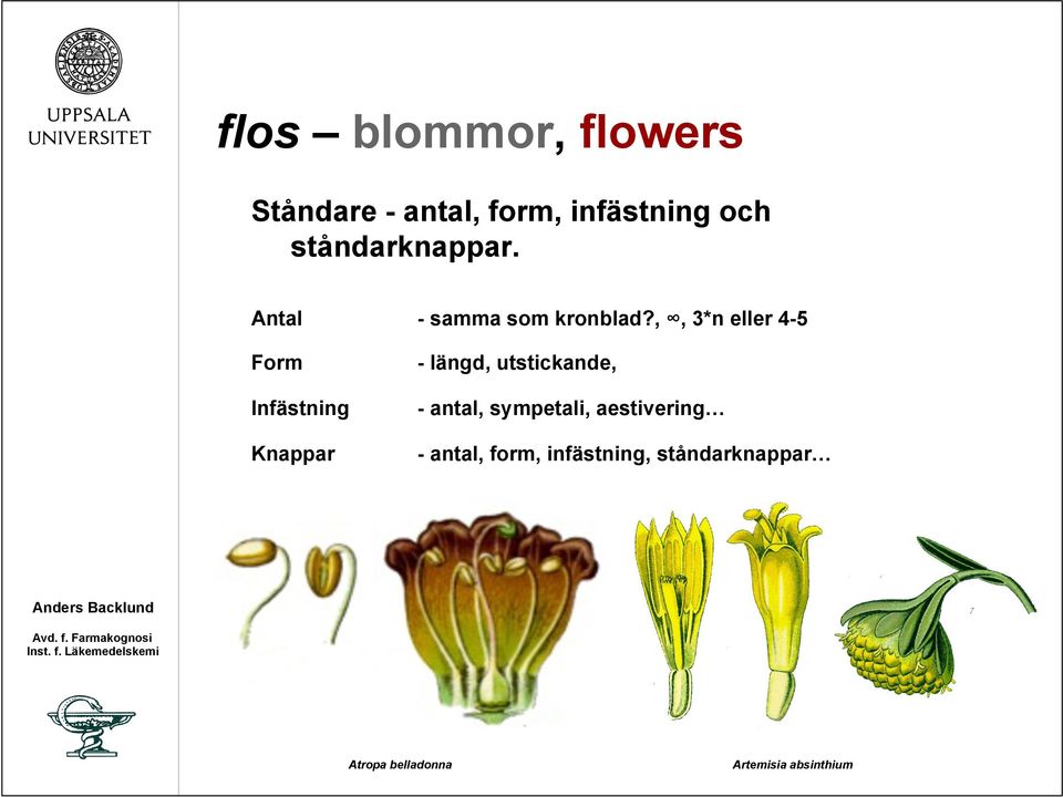 ,, 3*n eller 4-5 Form Infästning - längd, utstickande, - antal,