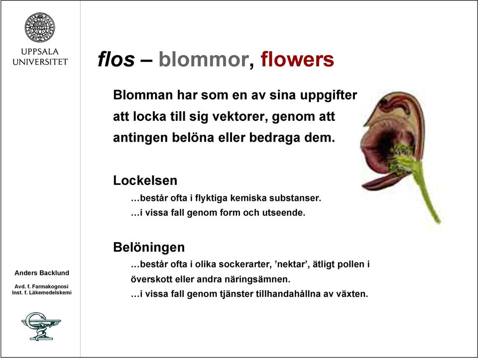 i vissa fall genom form och utseende.