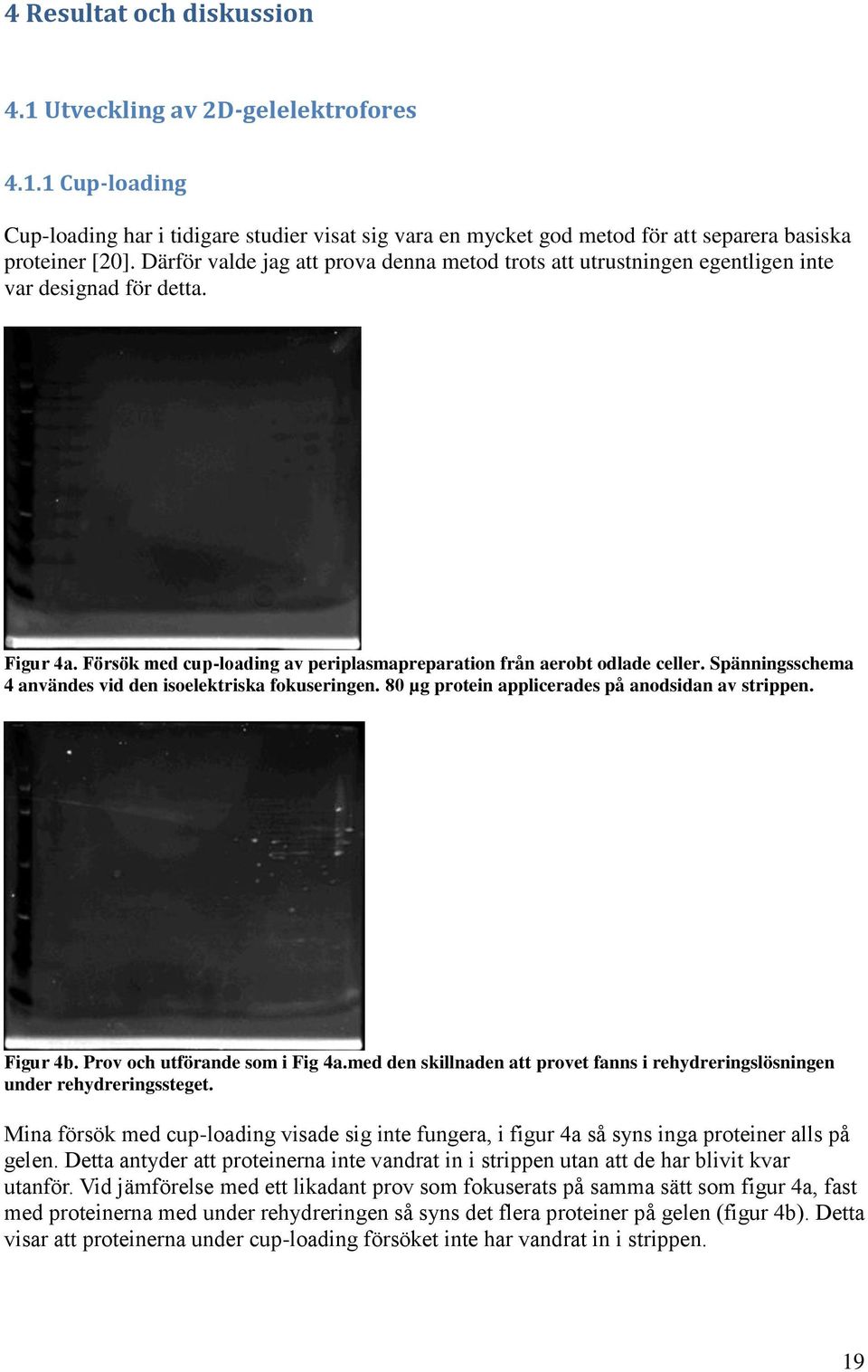 Spänningsschema 4 användes vid den isoelektriska fokuseringen. 80 µg protein applicerades på anodsidan av strippen. Figur 4b. Prov och utförande som i Fig 4a.